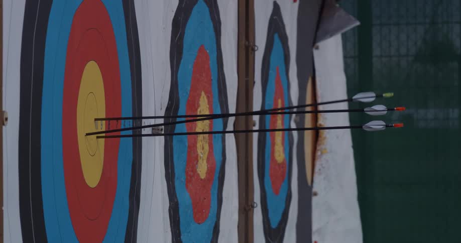 An archers arrows hit the bullseye of a target