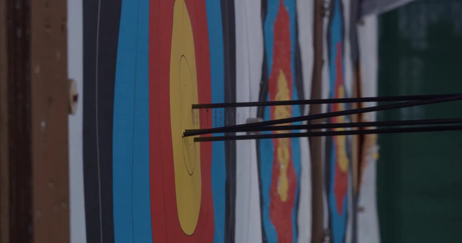 Arrows hitting the target placed on the board