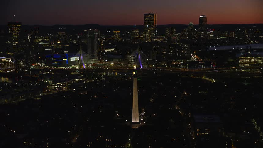 Aerial view of a metropolis by the sea at night