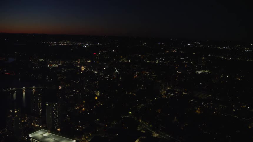 Aerial nighttime view of a metropolis by the sea