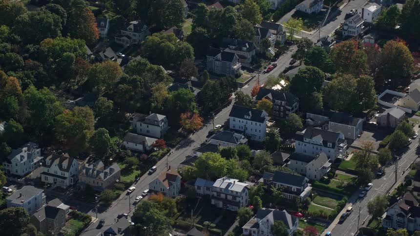 A residential area with many small houses and several trees