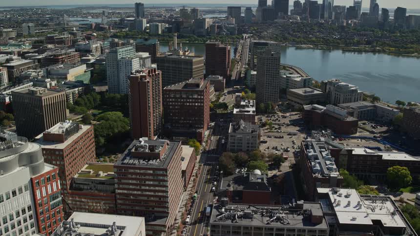 Aerial panorama of a metropolis by the sea