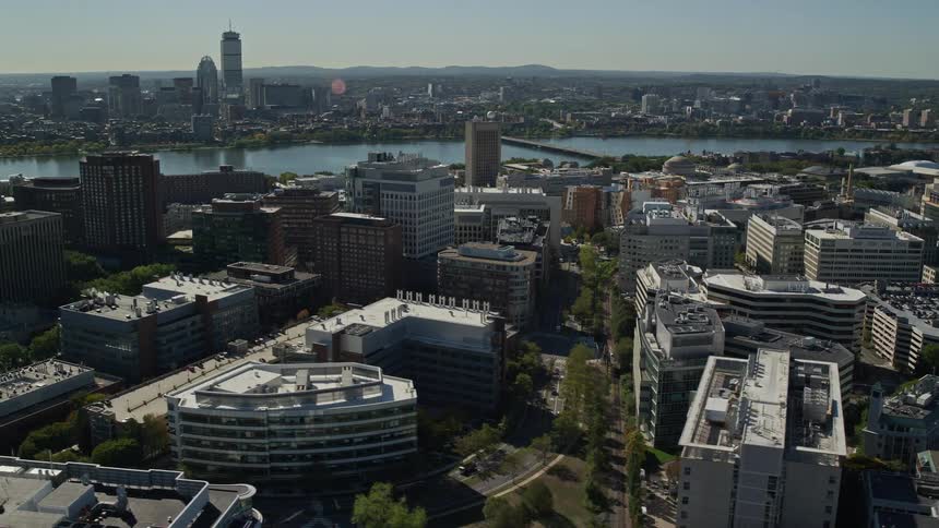 Aerial view of the city downtown at daytime