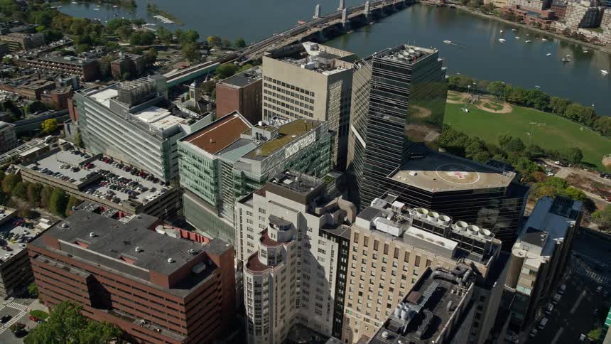 Aerial panorama of a metropolis by the sea