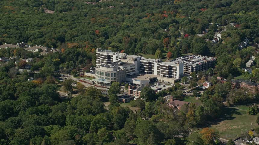 A large building in the middle of a dense forest
