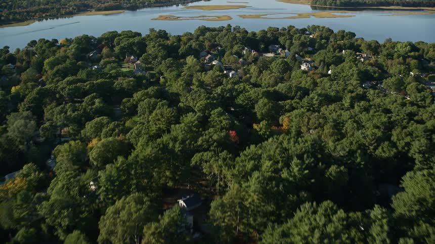 River and trees in a suburb area at midday