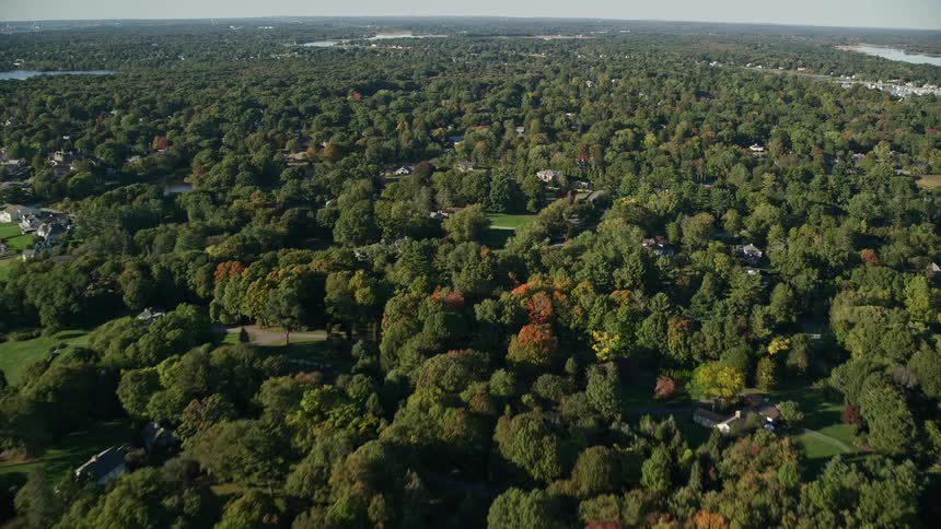 A rural area with some houses and lots of trees and forests