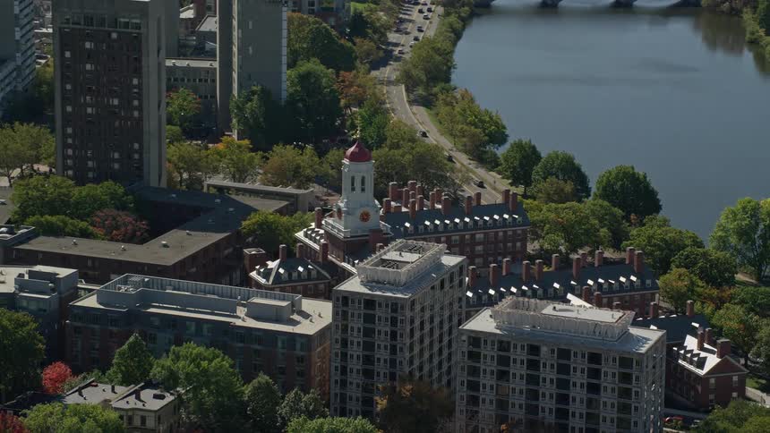 Aerial view of buildings in a metropolis by the sea