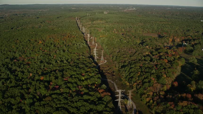 A huge path of energy towers in the middle of a huge forest