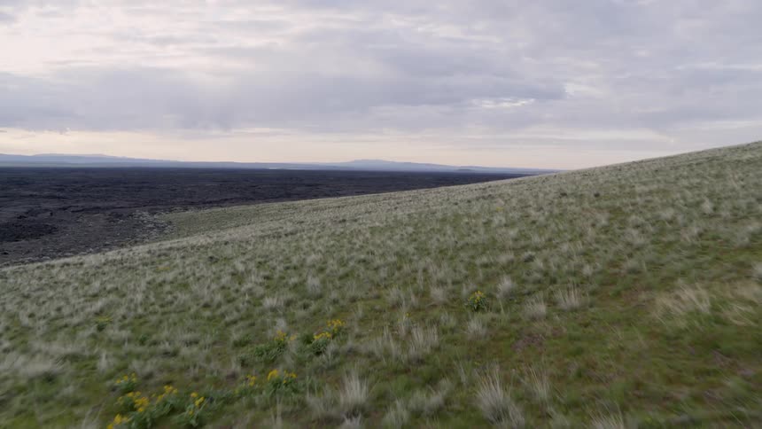 A gentle slope covered with sagebrush and wild flowers leads down to a vast lava field that stretches to the horizon