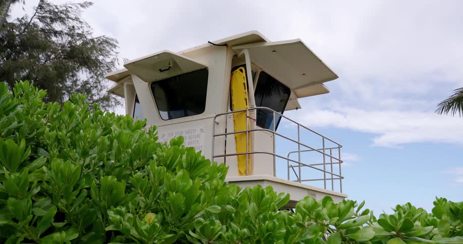 Bird flies past small cabin on watchtower on cloudy day