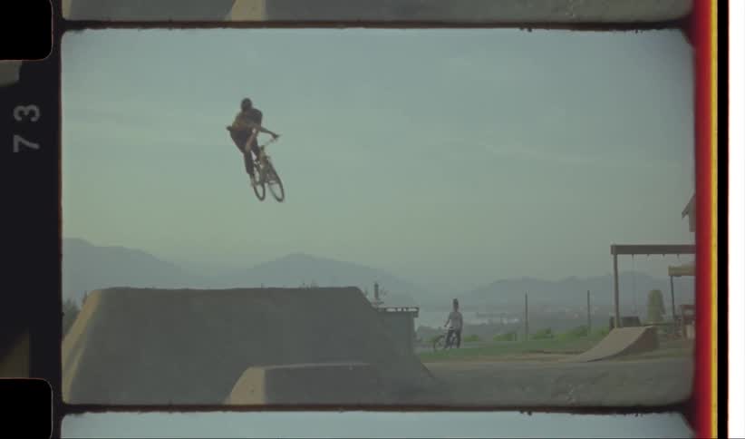 A man performing bicycle stunt at midday