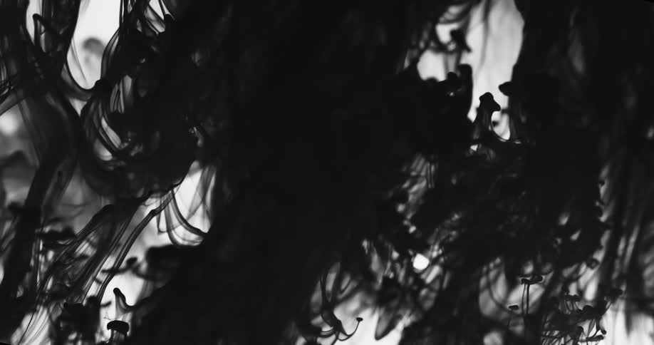 Flowing black ink in transparent liquid