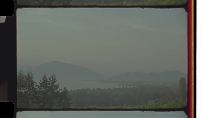 Panoramic view of a natural environment with mountains conifers and the sea