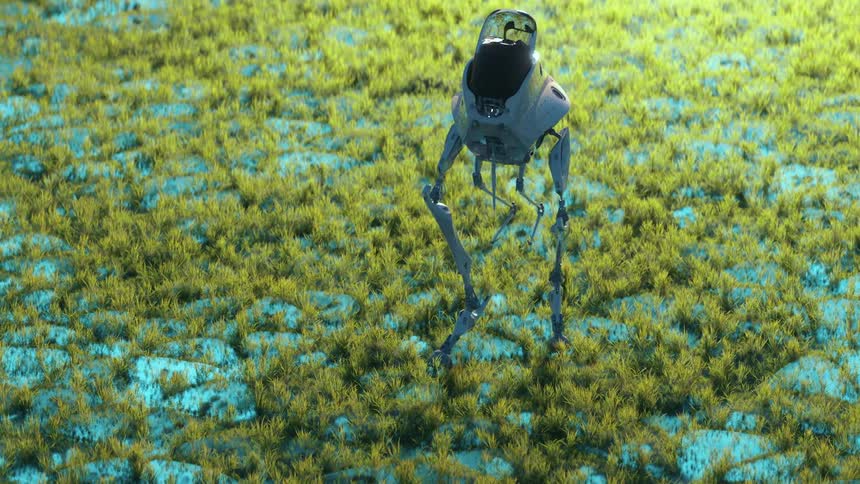 Bipedal robot walks on an alien field