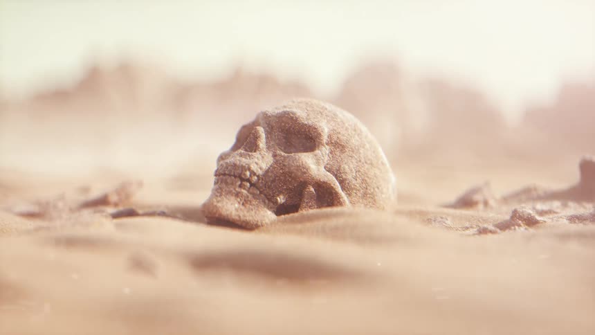 Human skull on the floor on a sunny day