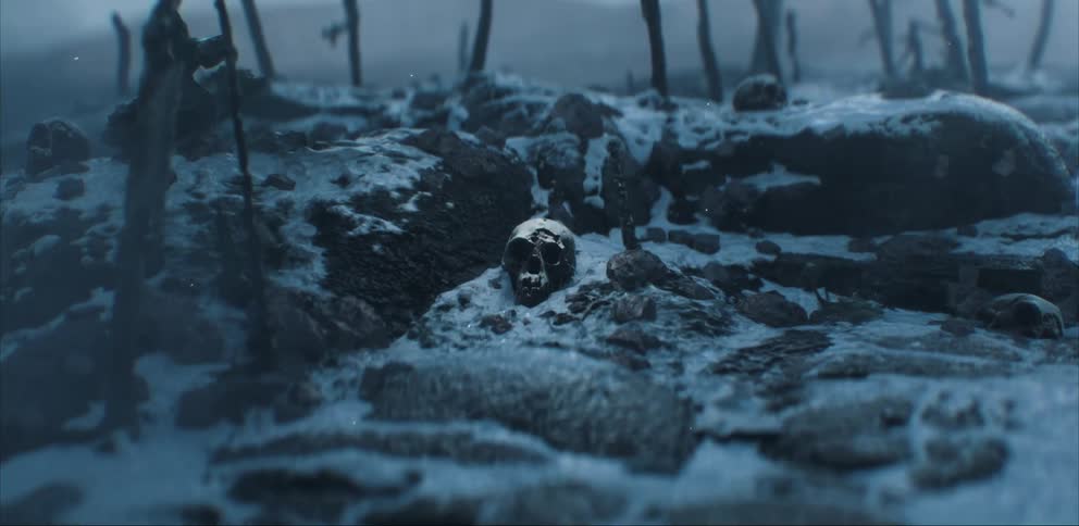 The snow falls on the skull on the rocks