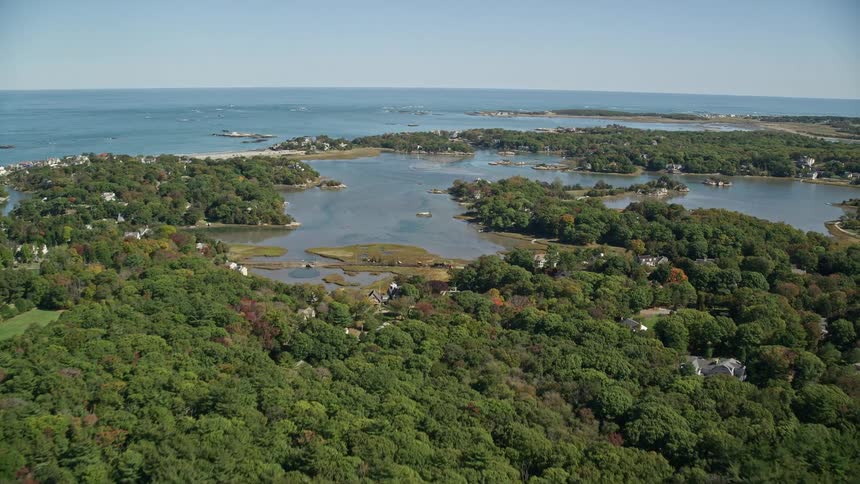 A coastal region of a forest of trees with a river that connects to the sea