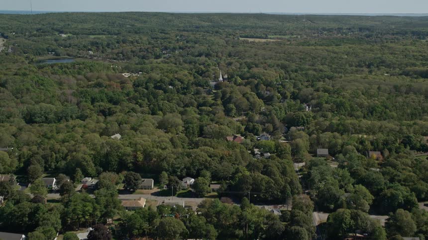 Aerial view of a town amid the woods
