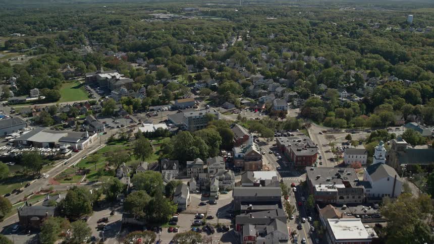 Aerial of coastal town situated in woodland