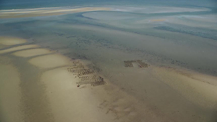 Aerial view of objects lined up on the sand next to the ocean