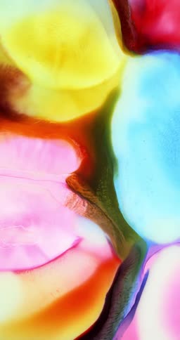Smoothly flowing abstract inks on a vertical background