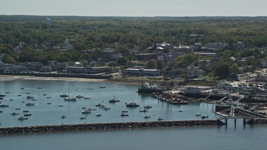 Traffic drives by the docked boats on the shore