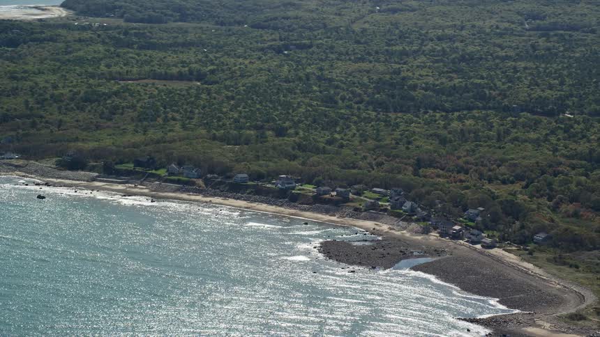 Houses occupy land between beach and forest