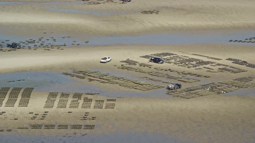 Cars parked in a sandy area with puddles of dirt and wood lined up