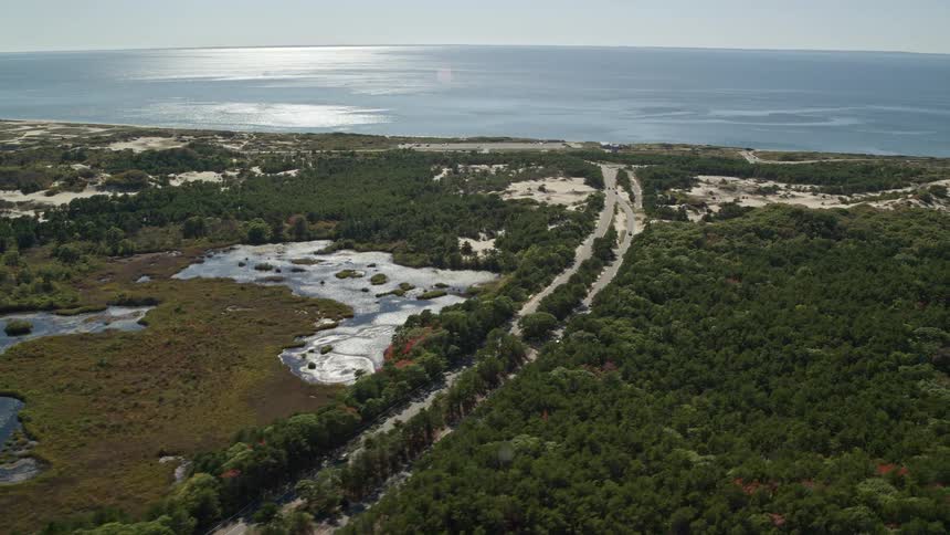 Aerial view of a road leading to the beach passing through salt marshes and patches of trees by the ocean