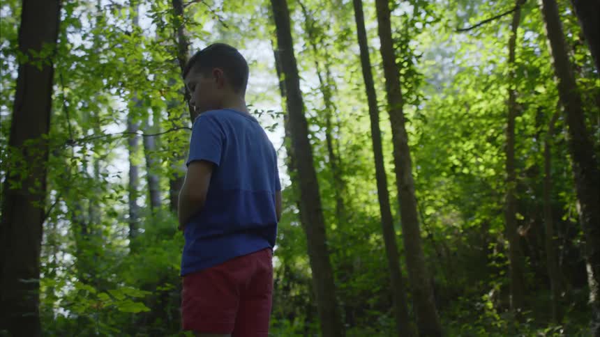 A boy stands in the forest looking around