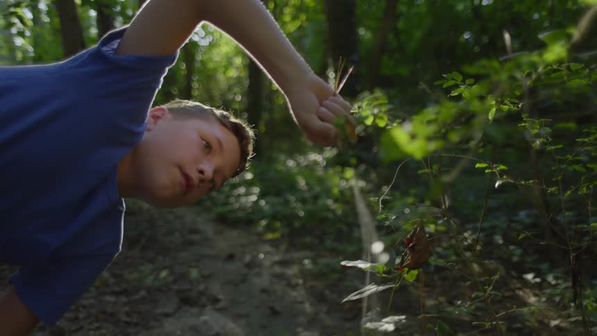Boy trying to pick a spider web with a small twig in a forest