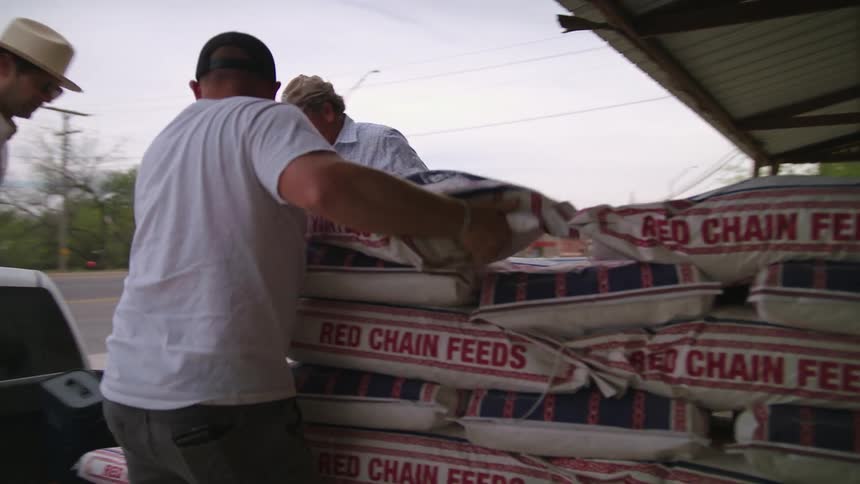 Working men loading several bags to the back of a pickup truck outdoors during day time