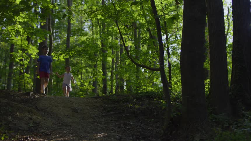 Little girl and boy walk in the forest
