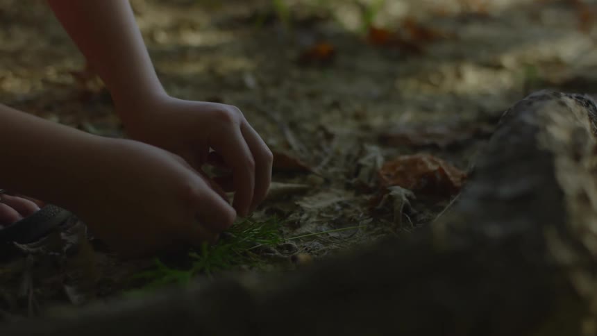 Little Boy ties grass to a stick