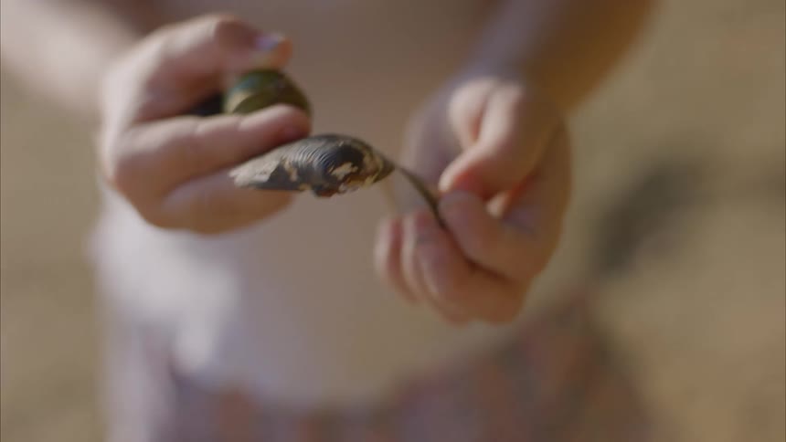 A child picking up sea shells in the beach
