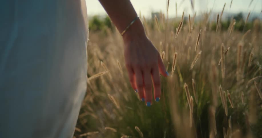 Person walking in the meadow during sunny day