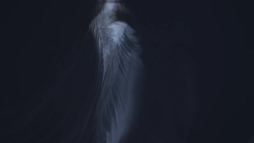Whisps of white smoke flow down on a black background