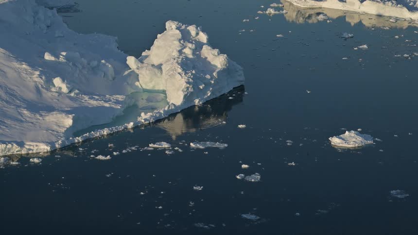 Aerial view of seagulls flying over icebergs in the ocean