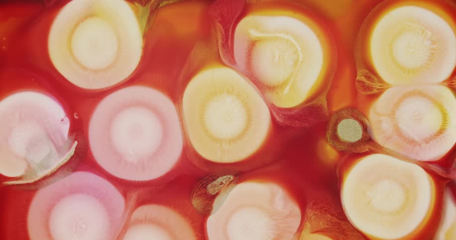 Expanding abstract circles of liquid inks
