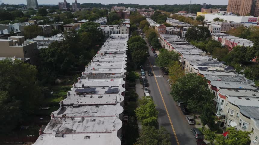 A flock of birds fly over the apartments