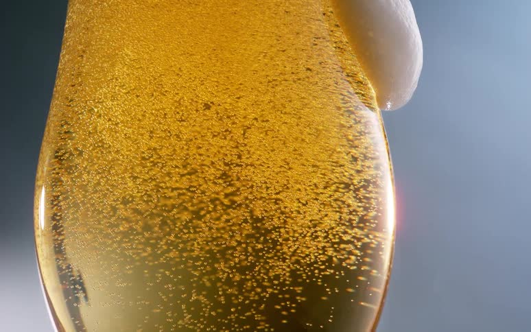 Bubbles rise to the top of a glass of beer as foam slides down the side of the glass