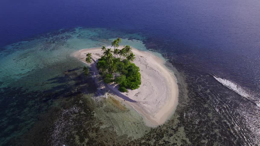 A small island surrounded by the sea with some trees in the middle all surrounded by beach sand
