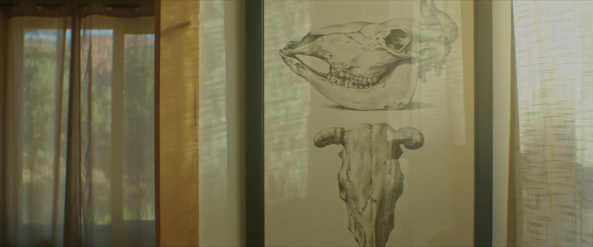 A view of a painting with drawings of animal skulls in an indoor setting