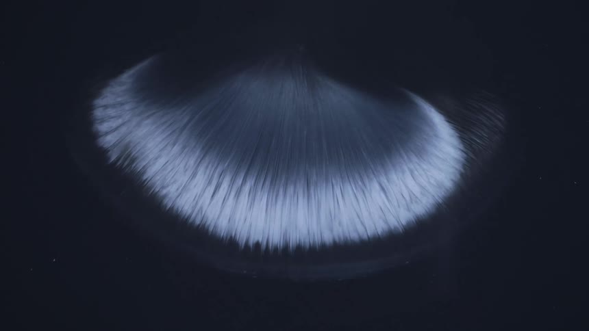 Cloud of white ink spreads on a black background