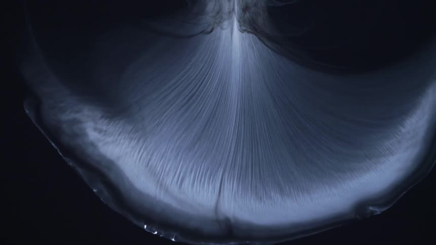 Stream of white liquid flowing downward