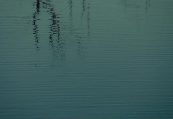 Reflections of tree trunks in a lake