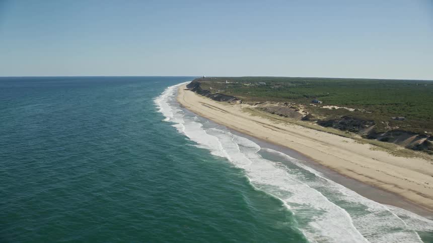 A beach with sandy terrain and vegetation facing the sea