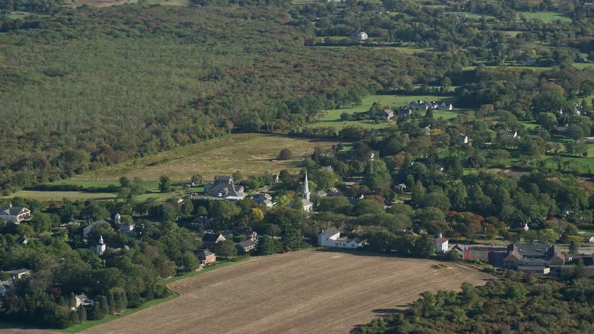 A residential area with lots of vegetation and forest of trees