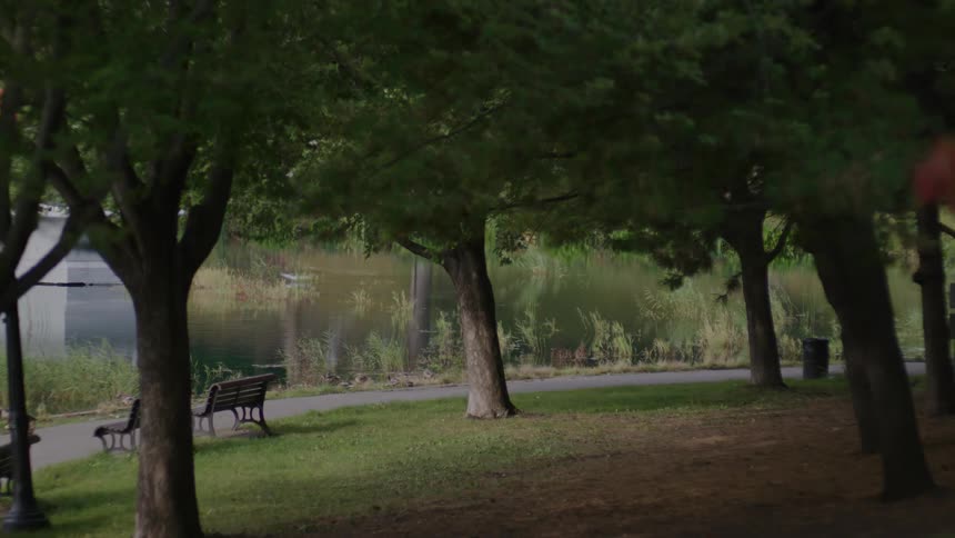 A bird flies over the pond